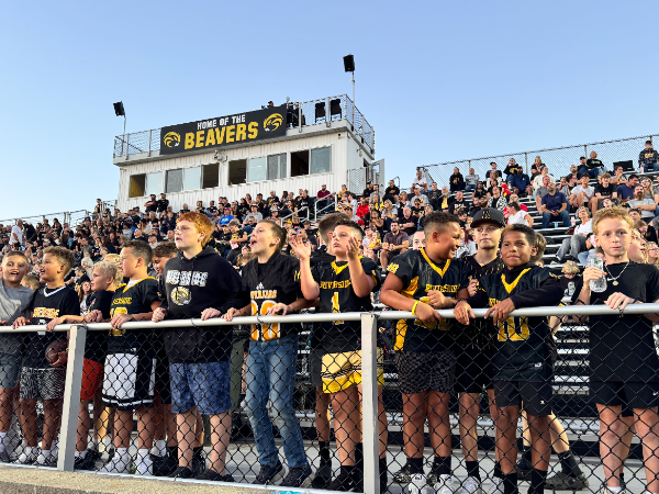Fans in Stadium 